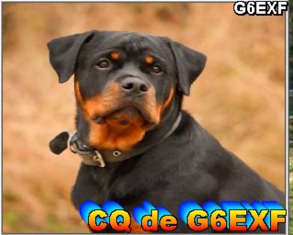 G3MET