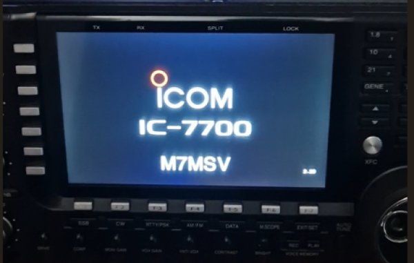 M7MSV