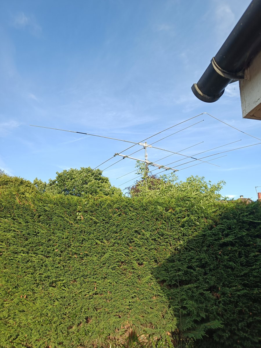moxon@16 ft still working well